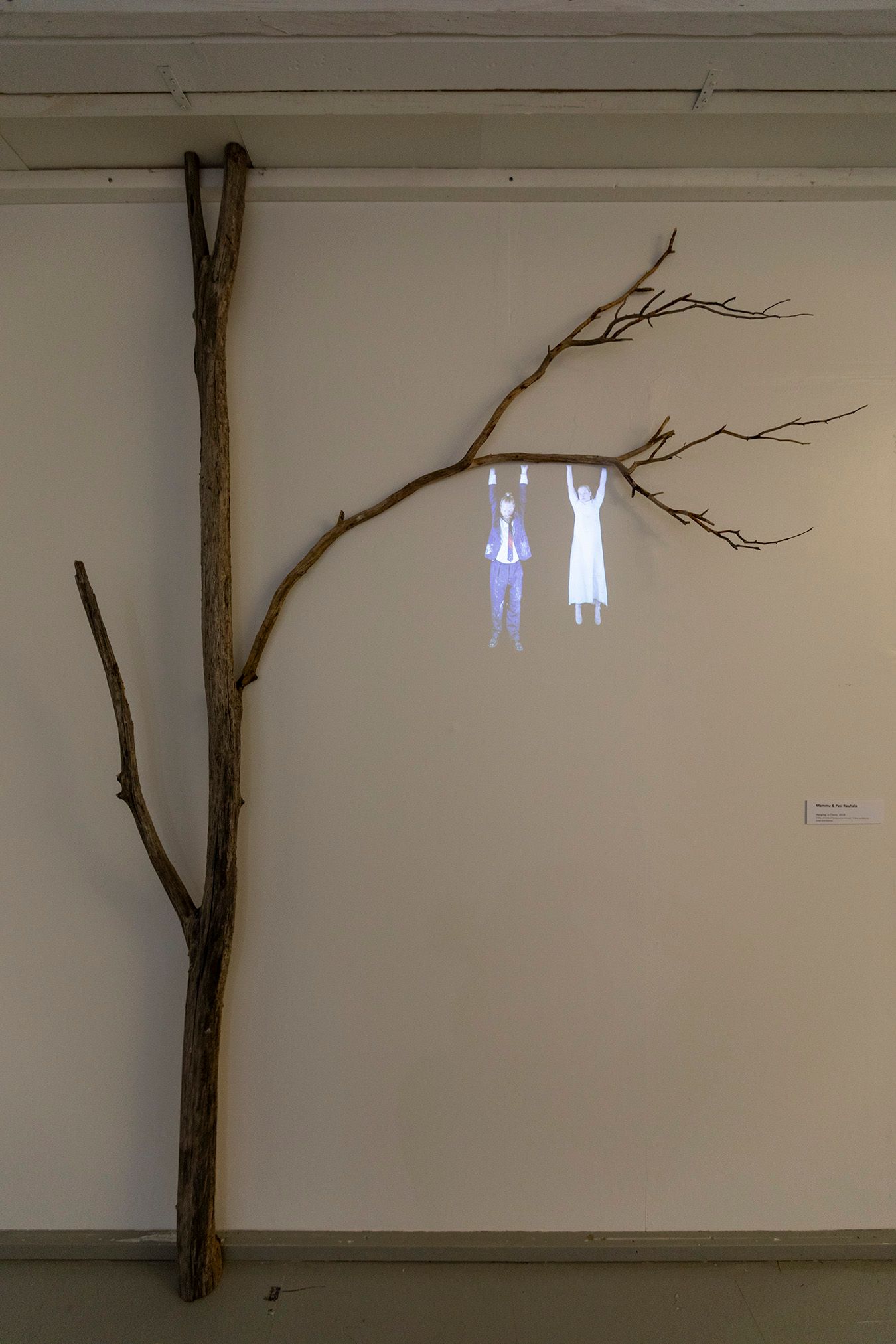 An installation where a video projection of Mammu and Pasi are hanging from a tree.